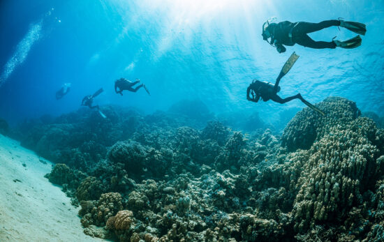 diving with a PADI Eco Center