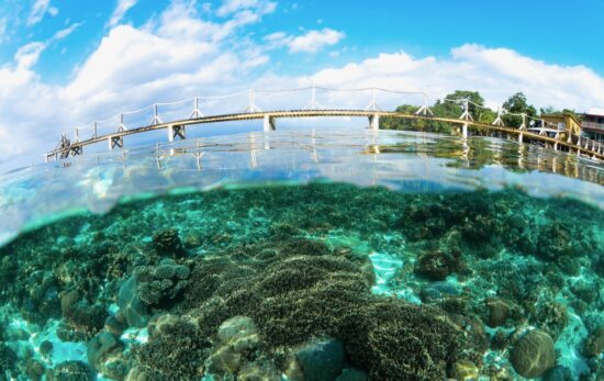 Snorkeling in a tropical coral reef close to a wooden jetty.